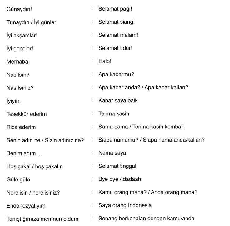 Bahasa Turki